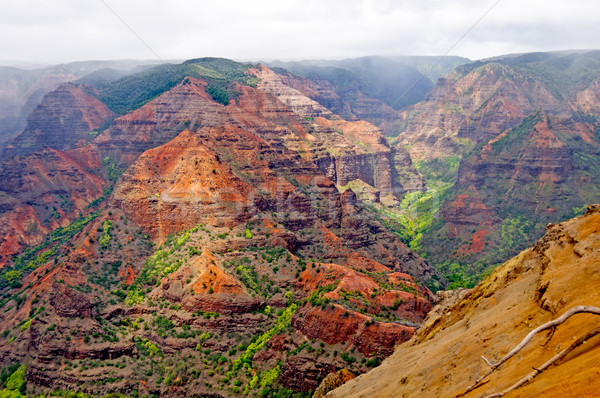Clouds and Colors in a Canyon Stock photo © wildnerdpix