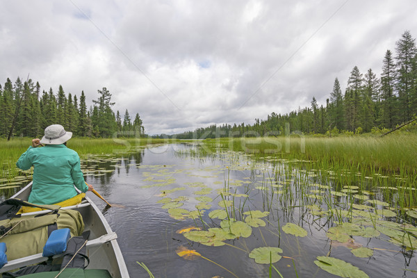 Canoeing Through Lily Pads on a Cloudy Day on a Quiet North Wood Stock photo © wildnerdpix