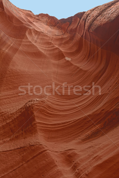Felfelé néz rés kanyon fal Arizona piros Stock fotó © wildnerdpix