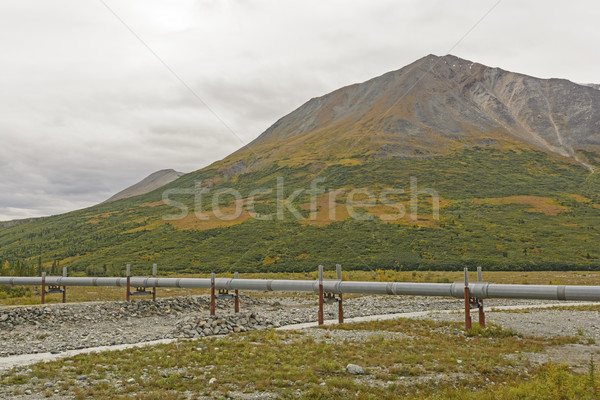 Pétrolières pipeline rivière Alaska crique Photo stock © wildnerdpix