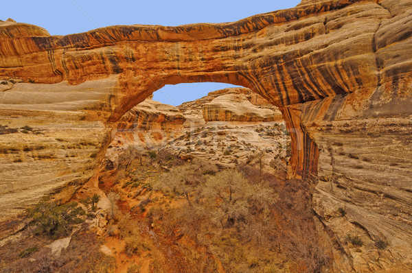 Natural Bridge in red rock country Stock photo © wildnerdpix