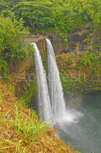 Hidden Falls on a Tropical Island Stock photo © wildnerdpix