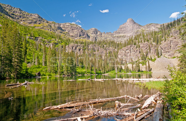 Alpine Lake in Summer Sun Stock photo © wildnerdpix