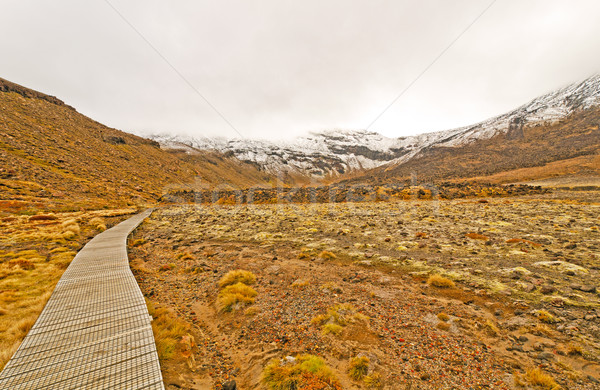 Trail to a snowy peak Stock photo © wildnerdpix