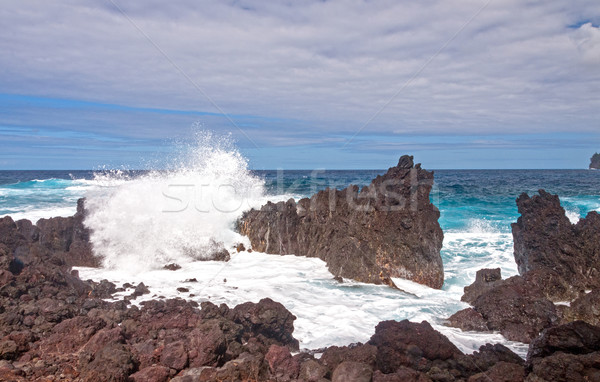Crashing Waves on a Rocky Coast Stock photo © wildnerdpix