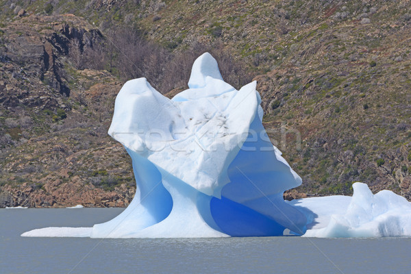 Incomum icebergue lago cinza paisagem remoto Foto stock © wildnerdpix