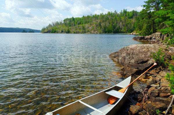 Summer time in Canoe Country Stock photo © wildnerdpix
