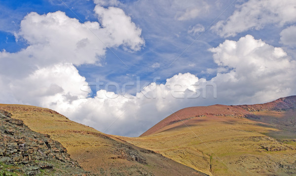Afternoon clouds over a Mountain Pass Stock photo © wildnerdpix