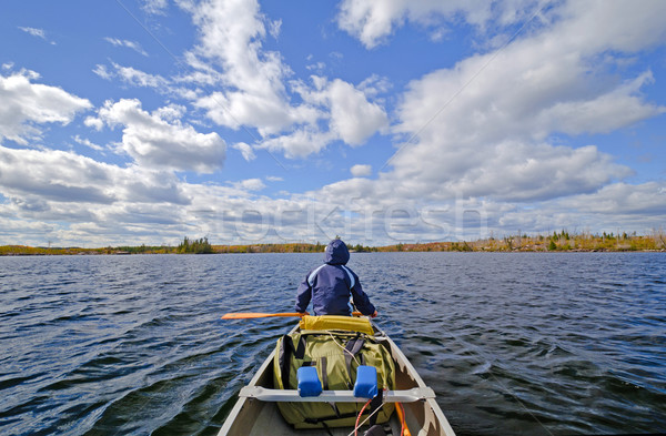 из открытых чайка озеро граница пейзаж Сток-фото © wildnerdpix
