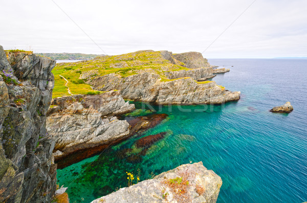 Dramatic Shoreline on an Ocean Coast Stock photo © wildnerdpix