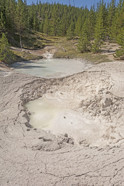 Hot Springs and a mudpot in a geothermal area Stock photo © wildnerdpix