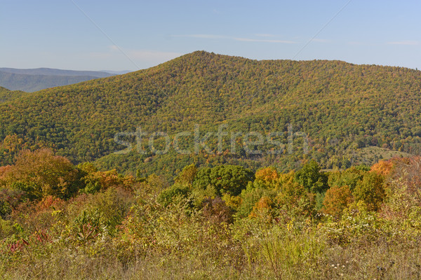 Changing Colors on a Mountain Ridge Stock photo © wildnerdpix