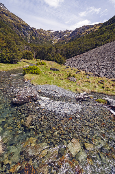Mountain Stream on a Sunny Day Stock photo © wildnerdpix