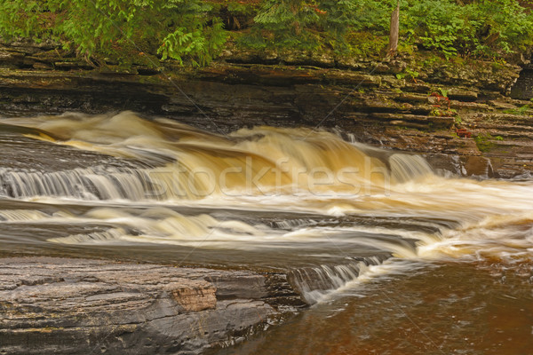 Flowing Water in a Forest River Stock photo © wildnerdpix