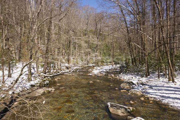 Primavera nieve montanas nuez ahumado forestales Foto stock © wildnerdpix