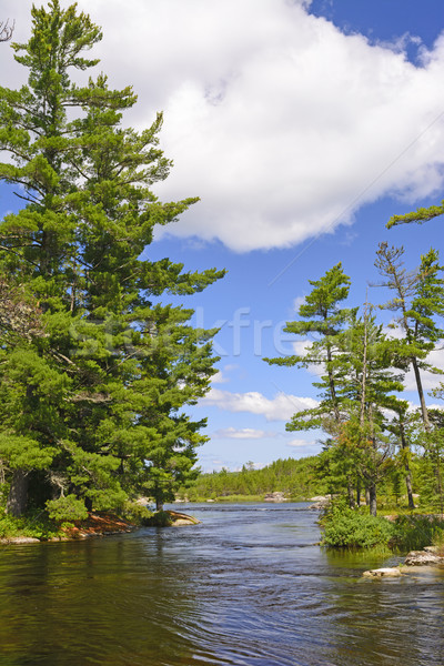 Stock photo: Narrow Channel in the North Woods