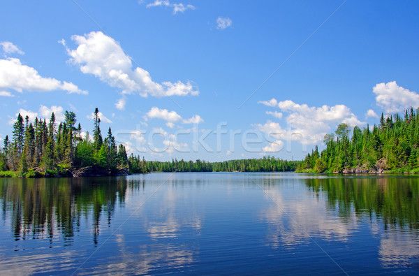 Lata łodzi kraju niebieski południe jezioro Zdjęcia stock © wildnerdpix