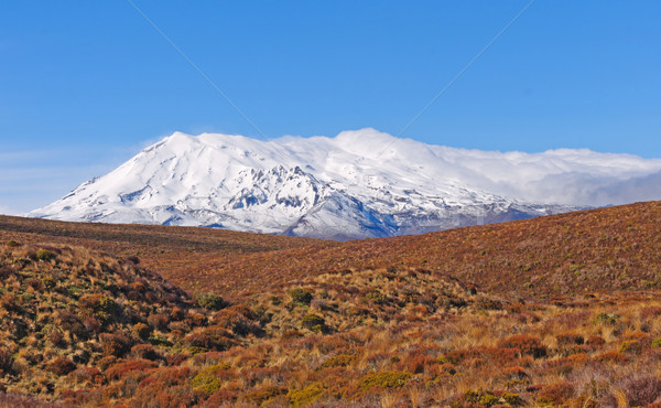Snowy Volcano in Desert Lands Stock photo © wildnerdpix