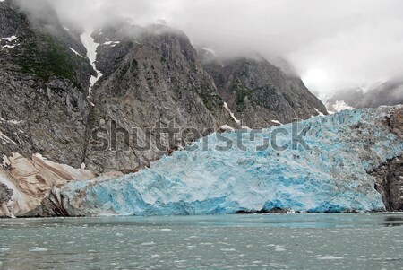 Kék jég óceán nagyszerű északnyugat gleccser Stock fotó © wildnerdpix