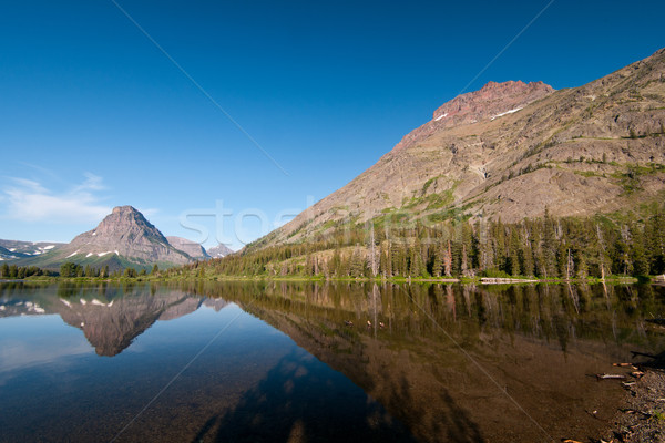 Berge herum See Aufgang Wolf Stock foto © wildnerdpix