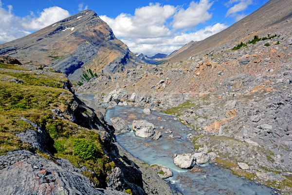 Jałowy skał górskich panorama dolinie Zdjęcia stock © wildnerdpix