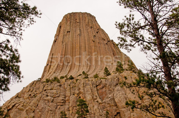 Pinnacle reaching for the sky Stock photo © wildnerdpix
