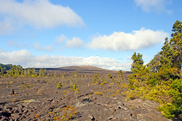 Vulkáni kúp láva áramlás kitörés természet Stock fotó © wildnerdpix