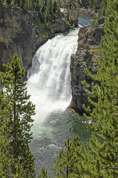 Dramatic Falls in a Canyon Stock photo © wildnerdpix