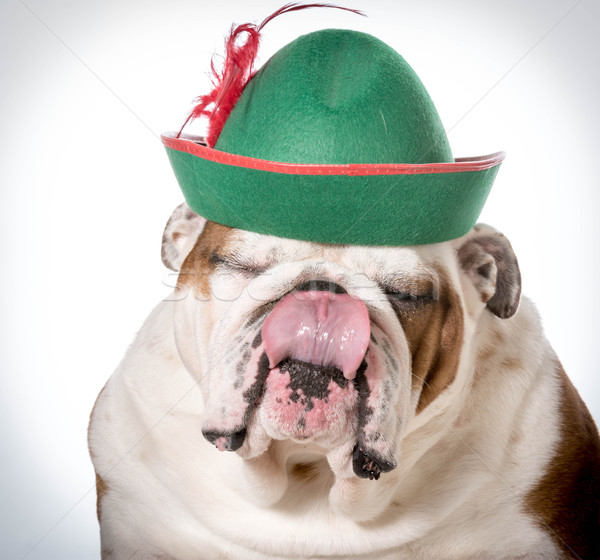 [[stock_photo]]: Pas · description · rouge · drôle · chapeau · séance