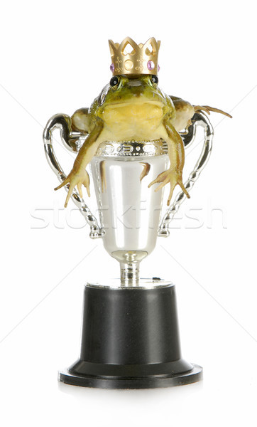 Guapo príncipe trofeo corona aislado blanco Foto stock © willeecole