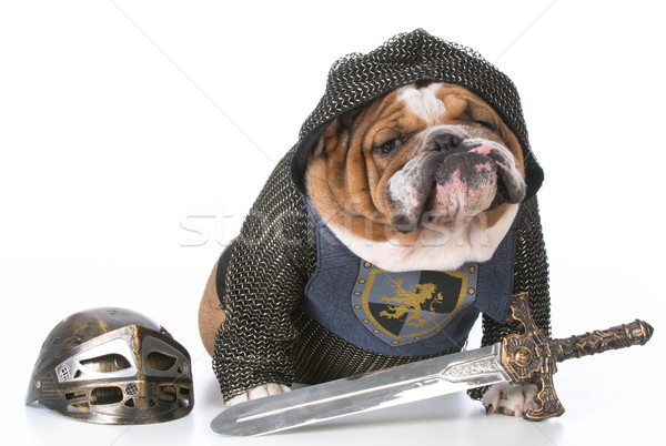 guard dog Stock photo © willeecole