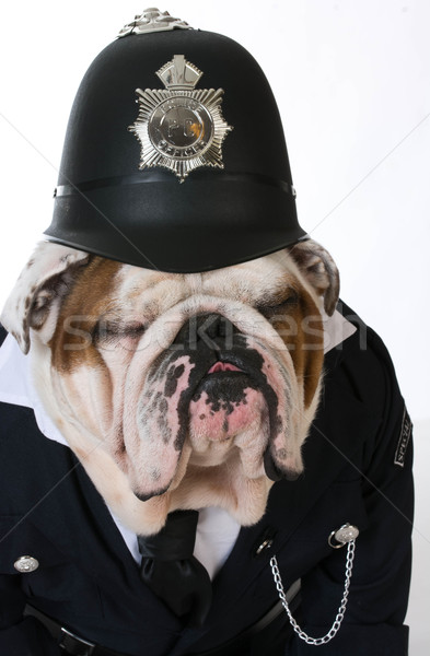 dog police or catcher Stock photo © willeecole