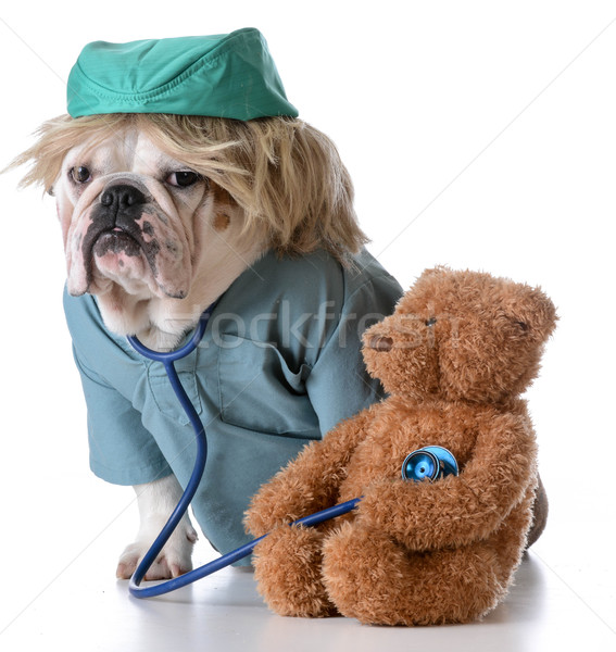 [[stock_photo]]: Vétérinaire · soins · bulldog · comme · médecin · écouter