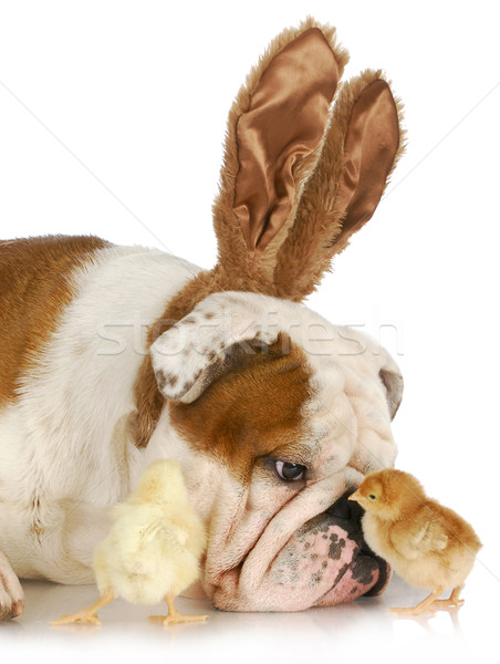 Stock photo: easter time