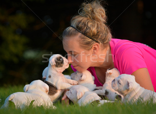 Mujer cachorros jugando hierba nina amor Foto stock © willeecole