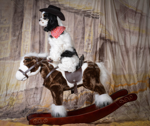 Chien équitation cheval cheval à bascule rouge [[stock_photo]] © willeecole