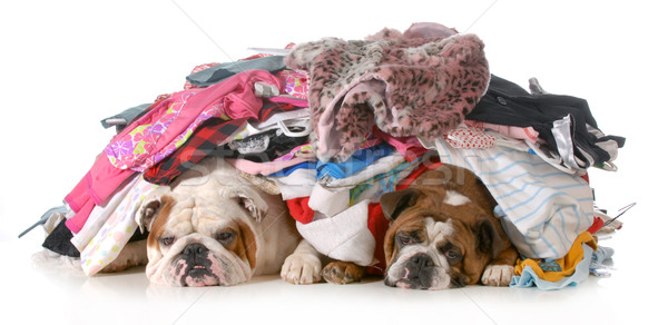 Nettoyage de printemps deux anglais vêtements Photo stock © willeecole