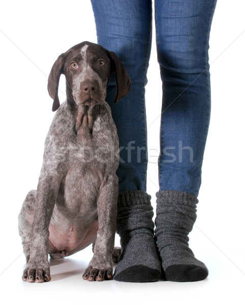 woman and dog Stock photo © willeecole