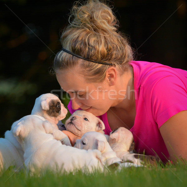 woman and litter of puppies Stock photo © willeecole