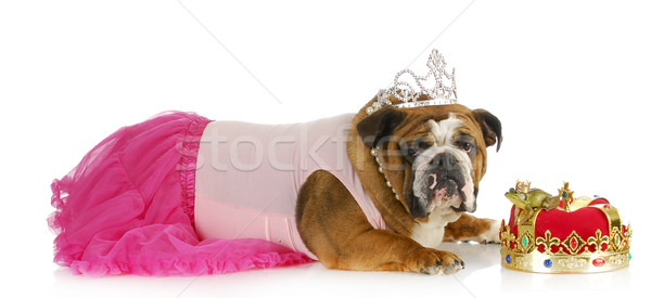 spoiled princess Stock photo © willeecole