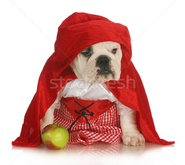 little red riding hood Stock photo © willeecole