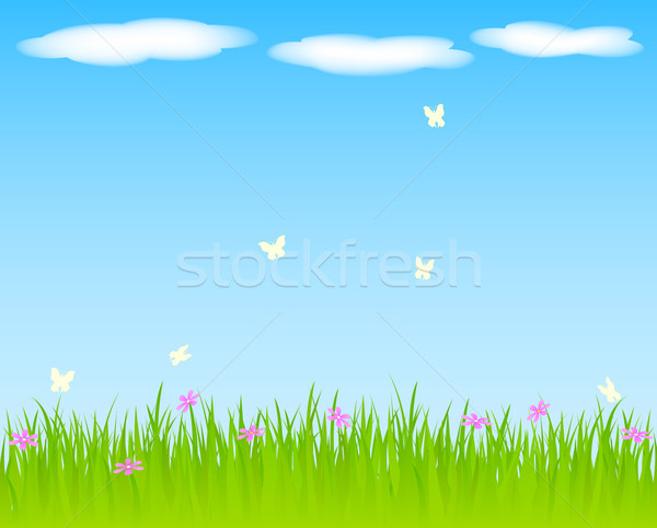 Stockfoto: Voorjaar · gras · bloemen · hemel · zon · zomer