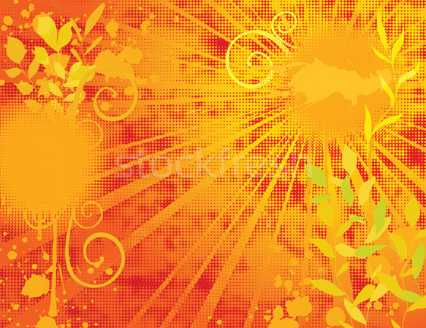 Summer grungy background Stock photo © wingedcats