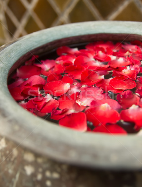 溫泉 花 水 按摩 紅色 美麗 商業照片 © winnond