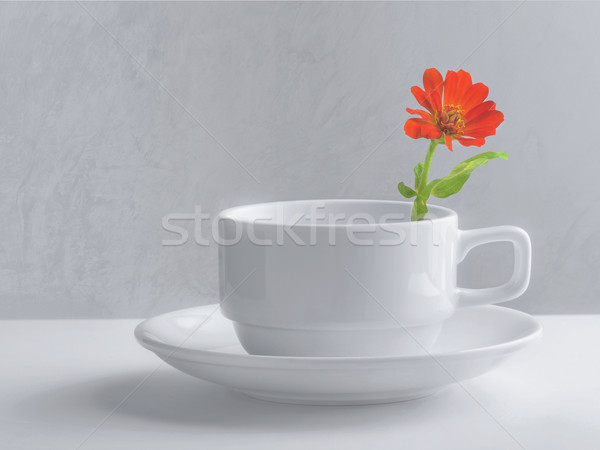 Foto stock: Natureza · morta · xícara · de · café · flor · textura · café · fundo