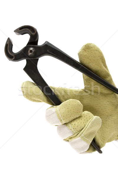 Cutting Pliers Stock photo © winterling