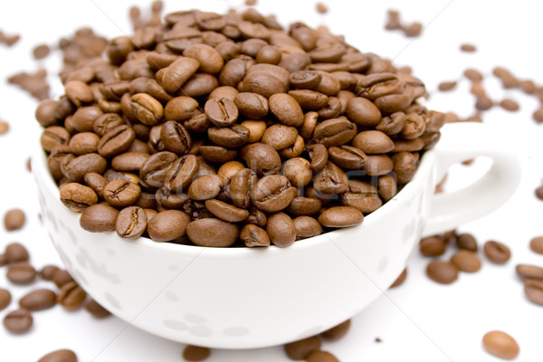 Raw Coffee Stock photo © winterling