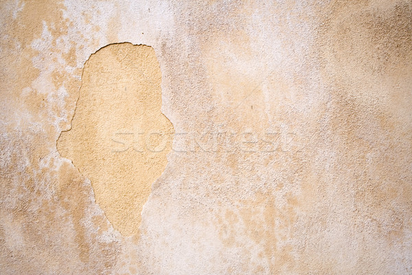 Weathered Wall Stock photo © winterling