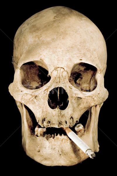 Smoking Skull Stock photo © winterling