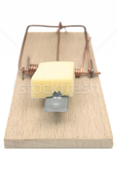 Mousetrap (Front View) Stock photo © winterling